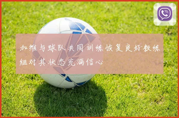 加维与球队共同训练恢复良好教练组对其状态充满信心