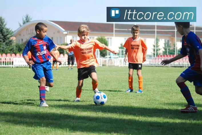 多媒体互动体验